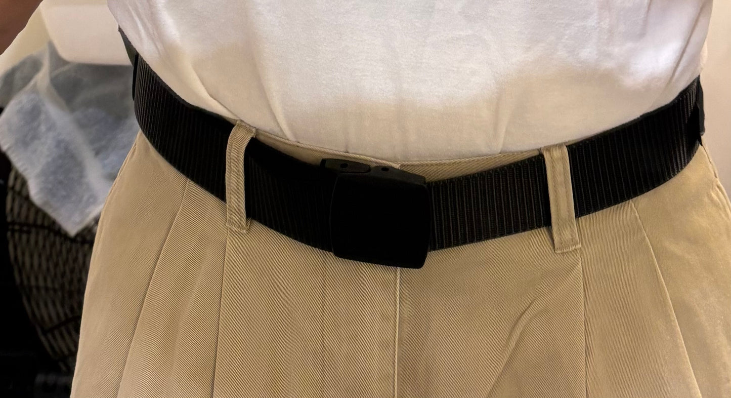 The Artamis Belt