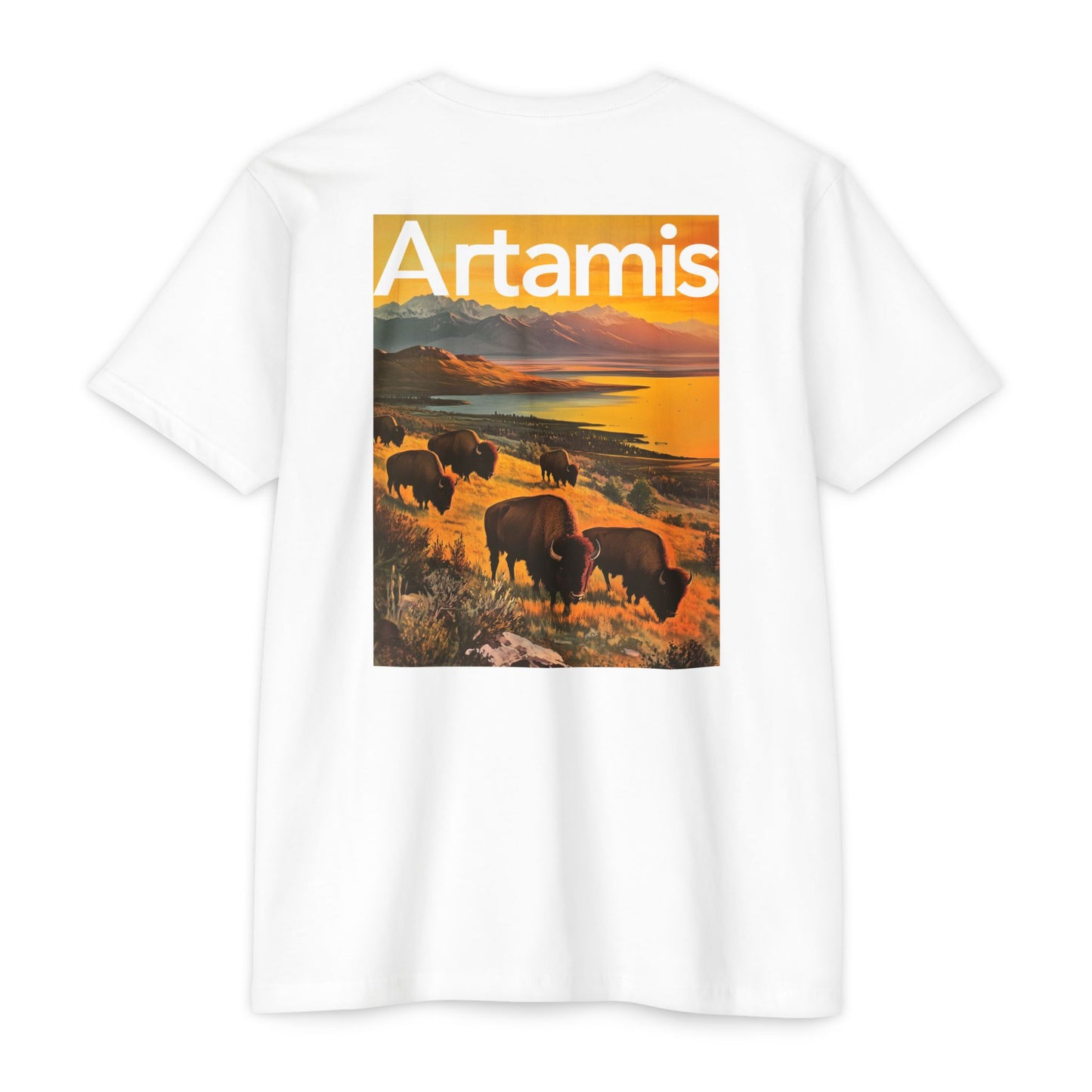 Antelope Island Bison