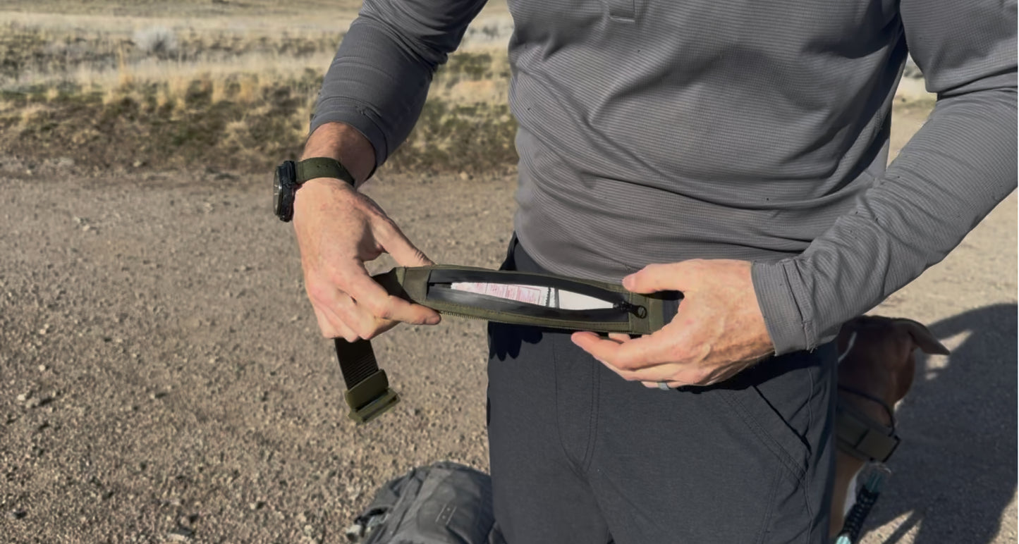 The Artamis Belt