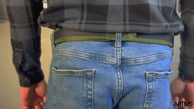 The Artamis Belt